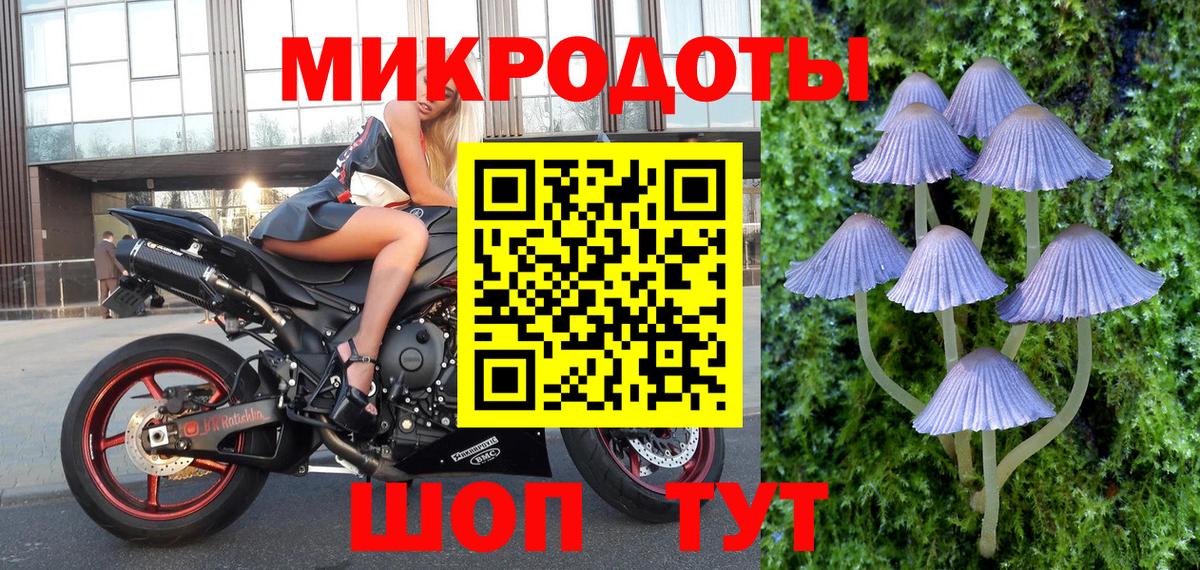 сколько стоит  Вход с VPN  Тосно  Псилоцибиновые грибы мухоморы 